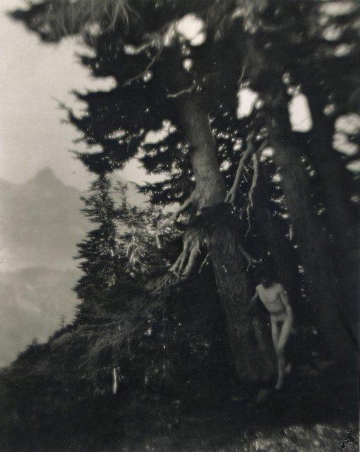 Imogen Cunningham: Roi on Mt. Raineer, 6