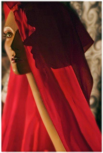 Rebecca Martinez: Shadowing