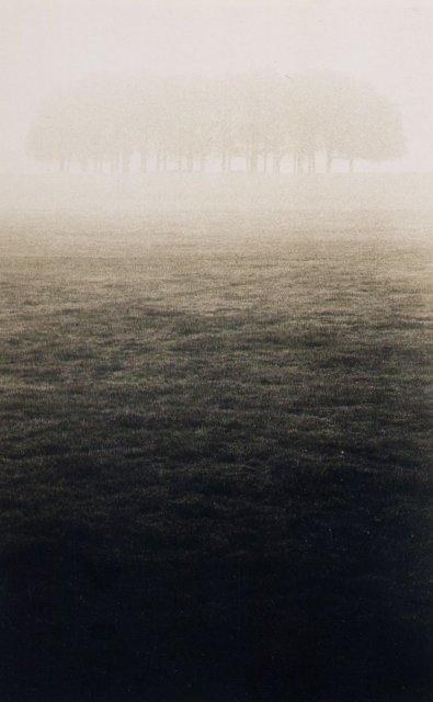 Michael Kenna: Richmond Trees, Surrey, England