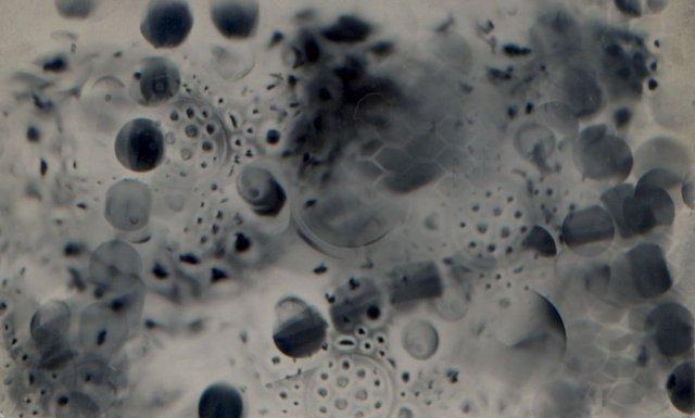 untitled multiple exposure photogram
