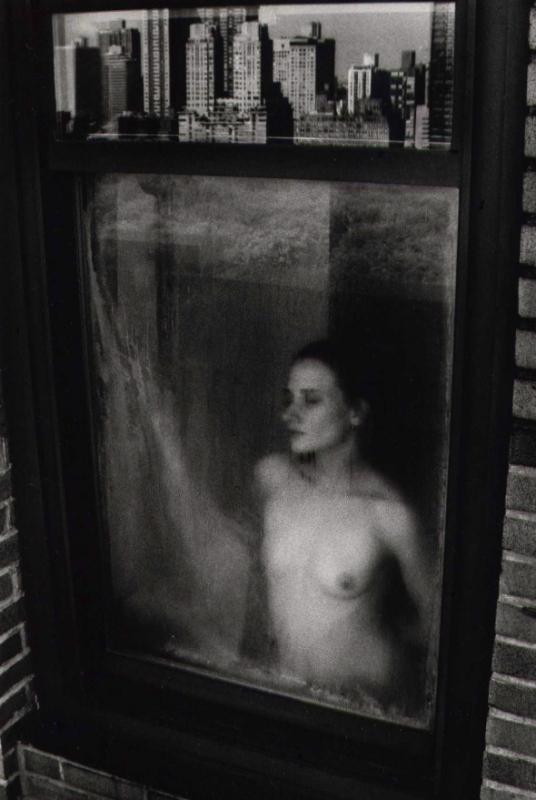 Steven Gelberg: New York Nude