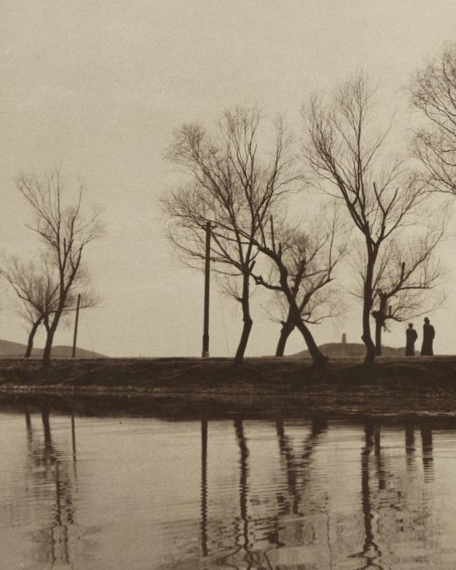 untitled (tree reflection)