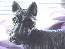 Scottie Dog Untrained, Black Cast Iron