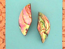Abalone/Paua Shell Earrings,Unusual,Prcd