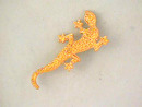 Textured Lizard Pin,Crawling,Nice!