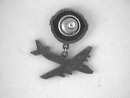 Jet Set Pin,Earth,Jet Dangle,Cool!