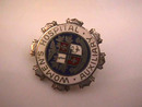 Women's Hospital Auxiliary Pin,Sterling,Vintage