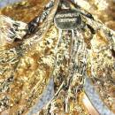 Germany Organic Pin Faux Turquoise Vintage Decadent!