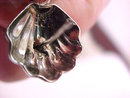 Sterling Clam Conch Shell Earrings Pierced Vintage Signed