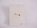 Love Bug Pin Enamel Signed Nemo Original Card Vintage Lady