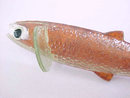 Fishmaster Fish Pin Lure Fishing Tackle Vintage