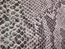 Faux Snakeskin Purse Clutch Black White Vint