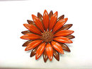 Huge 1960s Flower Power Pin Brooch Orange Brown Vintage 3 Inches