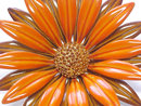Huge 1960s Flower Power Pin Brooch Orange Brown Vintage 3 Inches