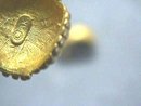 Ann Klein Gold Matte Shell Pierced Ers