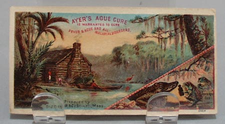 Victorian Trade Card Ayers Ague Cure 1800's