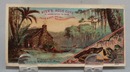 Victorian Trade Card Ayers Ague Cure 1800's