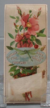 Victorian Trade Card Eastman's Perfumes Dragon Fly 1800