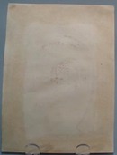 Victorian Trade Card Spayde & Cookson;s Puppies late 1800's