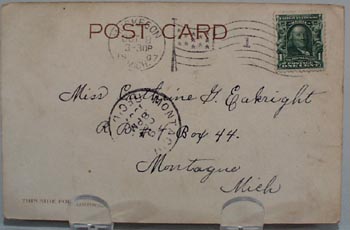 Second to None Lion Post Card.