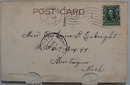 Second to None Lion Post Card.