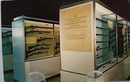 Fuller Gun Museum Military Guns PostCard