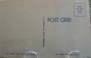 Out Where West Begins With Lake Post Card