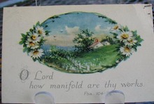 Oval Shape Landscape with Daisy's PC