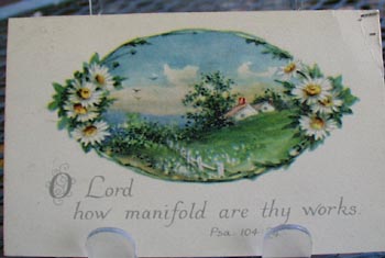 Oval Shape Landscape with Daisy's PC