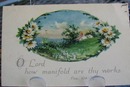Oval Shape Landscape with Daisy's PC