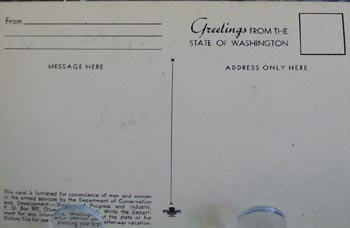Shooting the Rapids Postcard