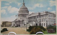 Washington DC Capital & Blooming Shrubs PC