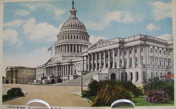 Washington DC Capital & Blooming Shrubs PC
