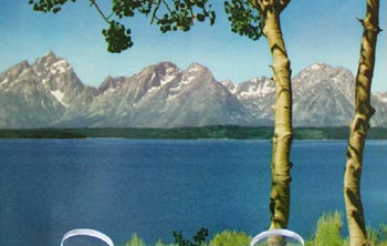 Teton Range & 2 Trees No Pacific Rwy PC