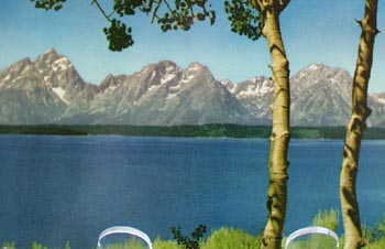 Teton Range & 2 Trees No Pacific Rwy PC