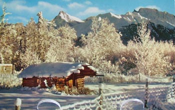 Alaska Postcard Pioneer Log Cabin