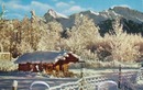 Alaska Postcard Pioneer Log Cabin