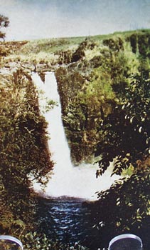 Rainbow Falls in Hawaii Postcard