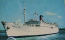 Cruise Ship Banana Star Postcard