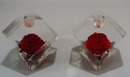 Large, Lucite Red Rose Candleholders!