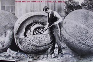 Huge Cantaloupes Loveles Mich Postcard
