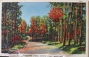 Greetings from North Port Mich. Postcard