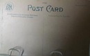 Washington Monument Postcard