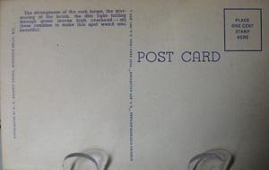 Spooky Lane Wisc Dells Post Card