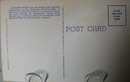 Hornets Nest Wisc Dells Wisc Postcard