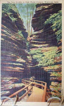 Fern Garden Cold Water Canyon Wis Dells PC