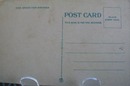 Normal High School Buffalo NY Postcard