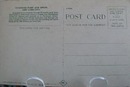 Riverside Park & Drive NYC Postcard