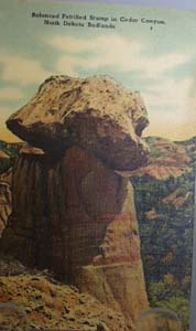 Petrified Stump No. Dakota Postcard.
