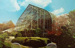 Eden Park Conservatory Cinn O Postcard